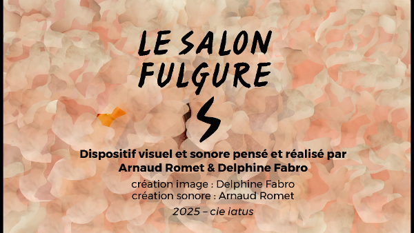 salonfulgure/salonfulgure4.jpg